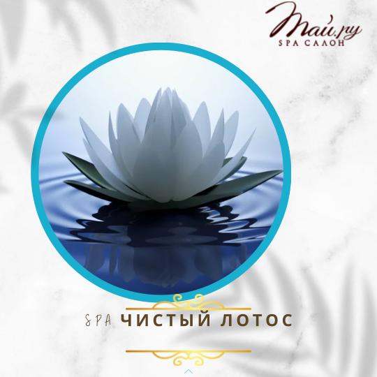 Изображение WhatsApp 2025 01 10 в 16.55.59 9a3fcad7